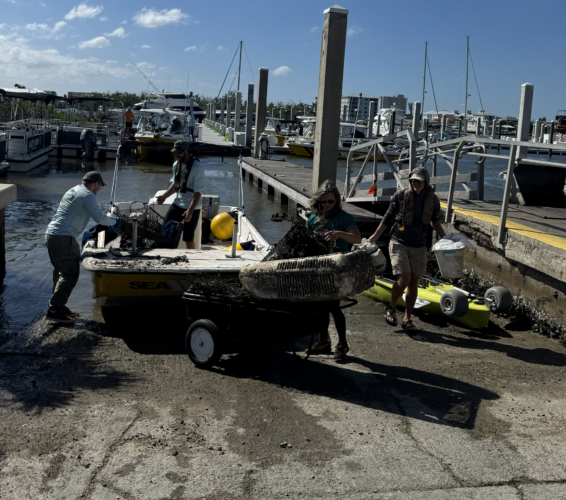 Keep Lee County Beautiful rallies community to combat marine debris with 'Monofilament Madness'